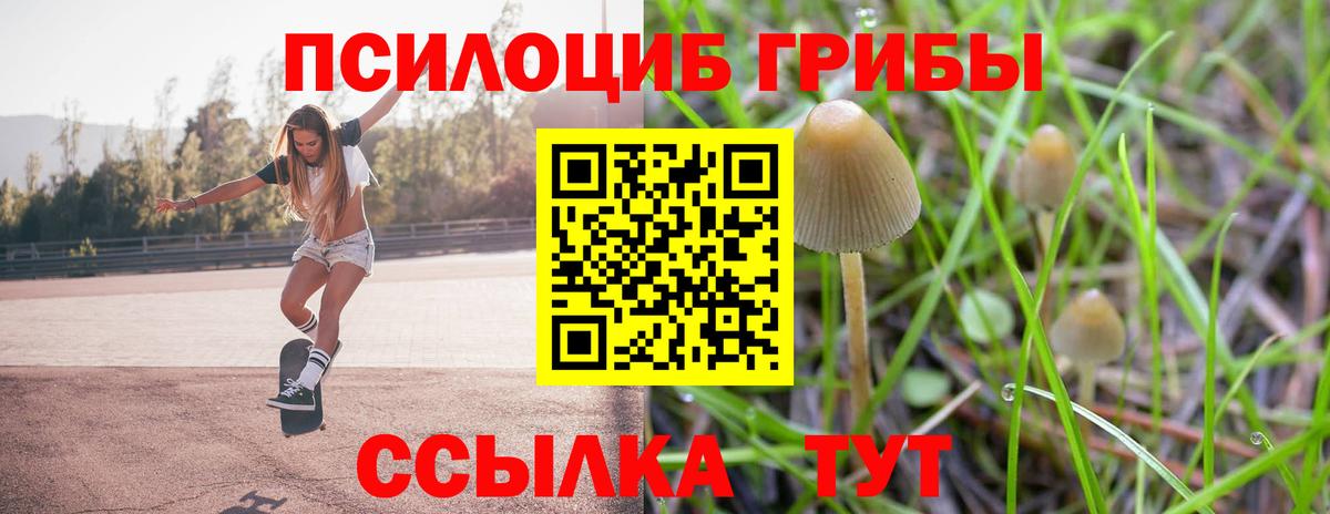 Псилоцибиновые грибы Magic Shrooms Партизанск